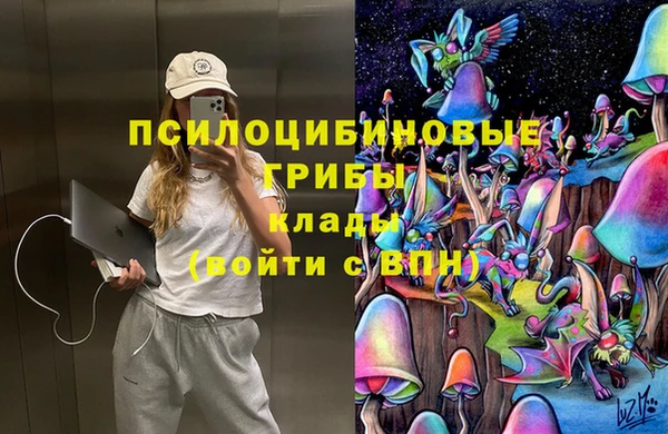 амф Абинск
