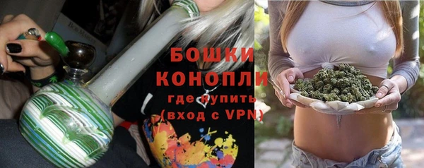 ГАЛЛЮЦИНОГЕННЫЕ ГРИБЫ Медвежьегорск