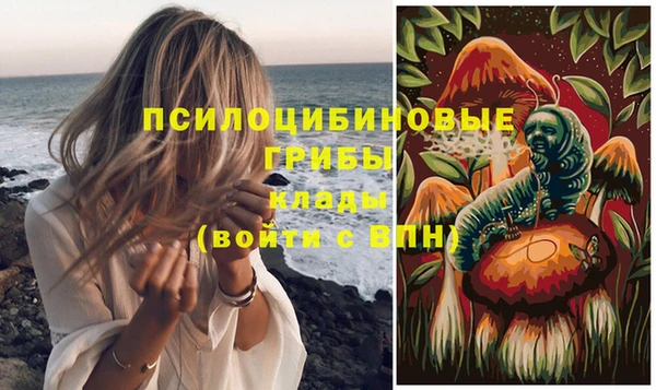 хмурый Алзамай