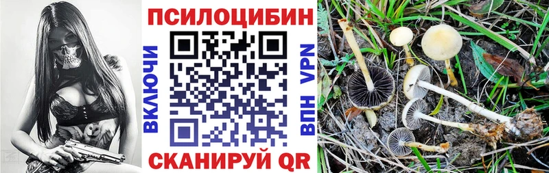 Галлюциногенные грибы MAGIC MUSHROOMS  Иркутск 